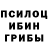 Галлюциногенные грибы GOLDEN TEACHER Roma Kasyan