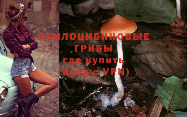 ГАЛЛЮЦИНОГЕННЫЕ ГРИБЫ Богородск