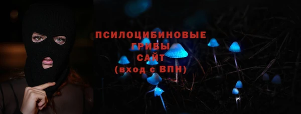 сатива Богородицк