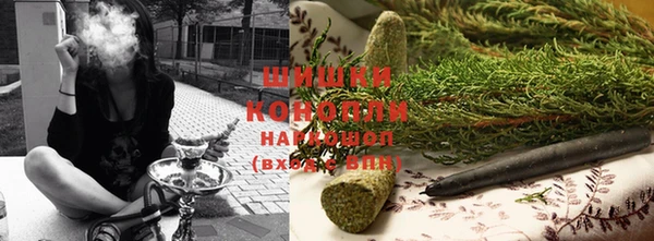 сатива Богородицк